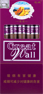 长城（金南极）