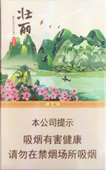 真龙（壮丽）香烟多少钱一包  真龙 第1张