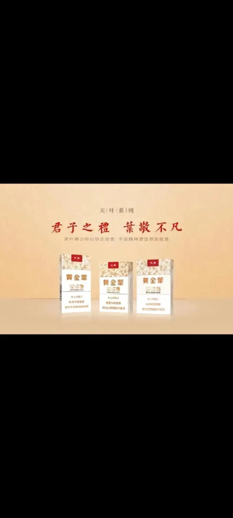 黄金叶 天叶,传承经典,品味非凡 第1张 黄金叶 天叶,传承经典,品味非凡 第1张